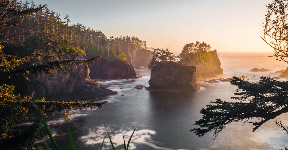 Your Complete Travel Guide to Orcas Island, Washington