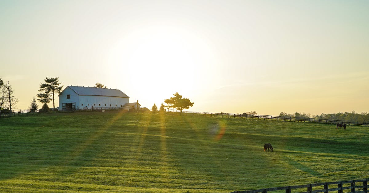 Top Things to Do in Paducah, Kentucky