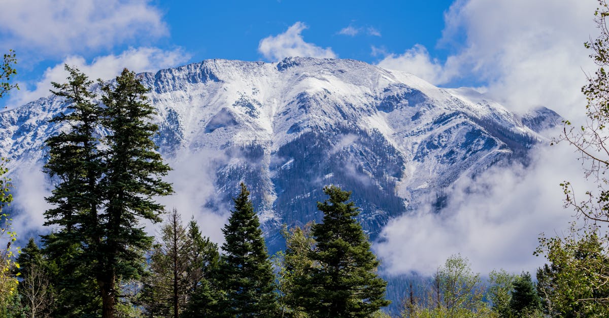 Your Complete Travel Guide to Pagosa Springs, Colorado