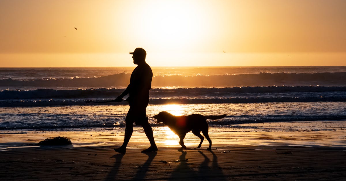 Your Complete Travel Guide to Pismo Beach, California