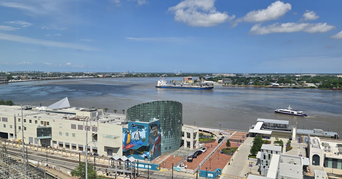 Your Complete Travel Guide to Port Barre, Louisiana