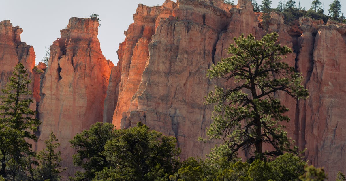 Your Complete Travel Guide to Providence, Utah