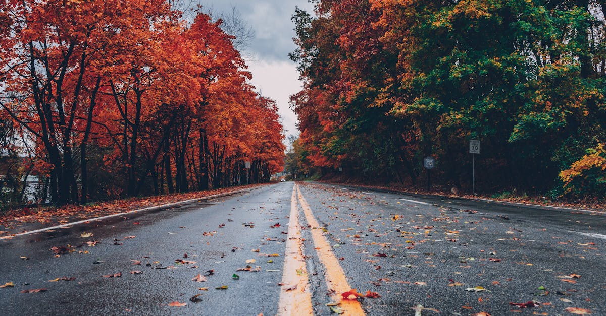 Your Complete Travel Guide to Reading, Pennsylvania