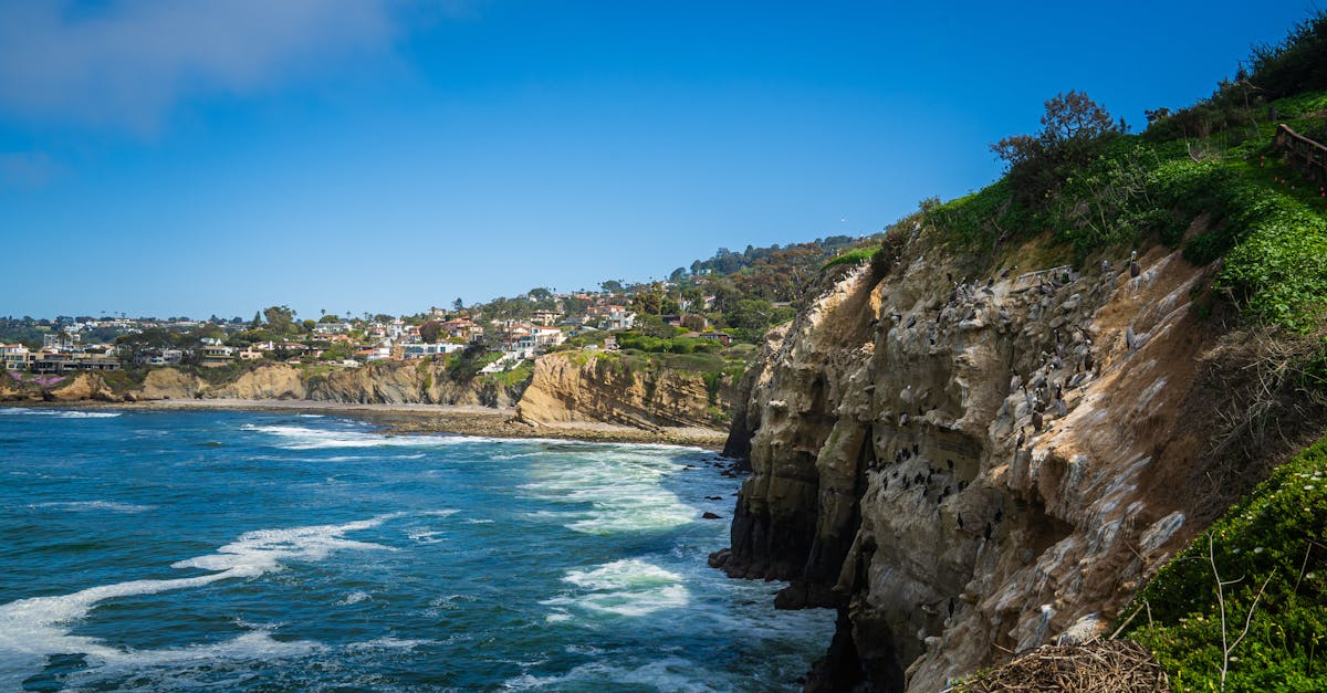 Top Things to Do in San Diego, California