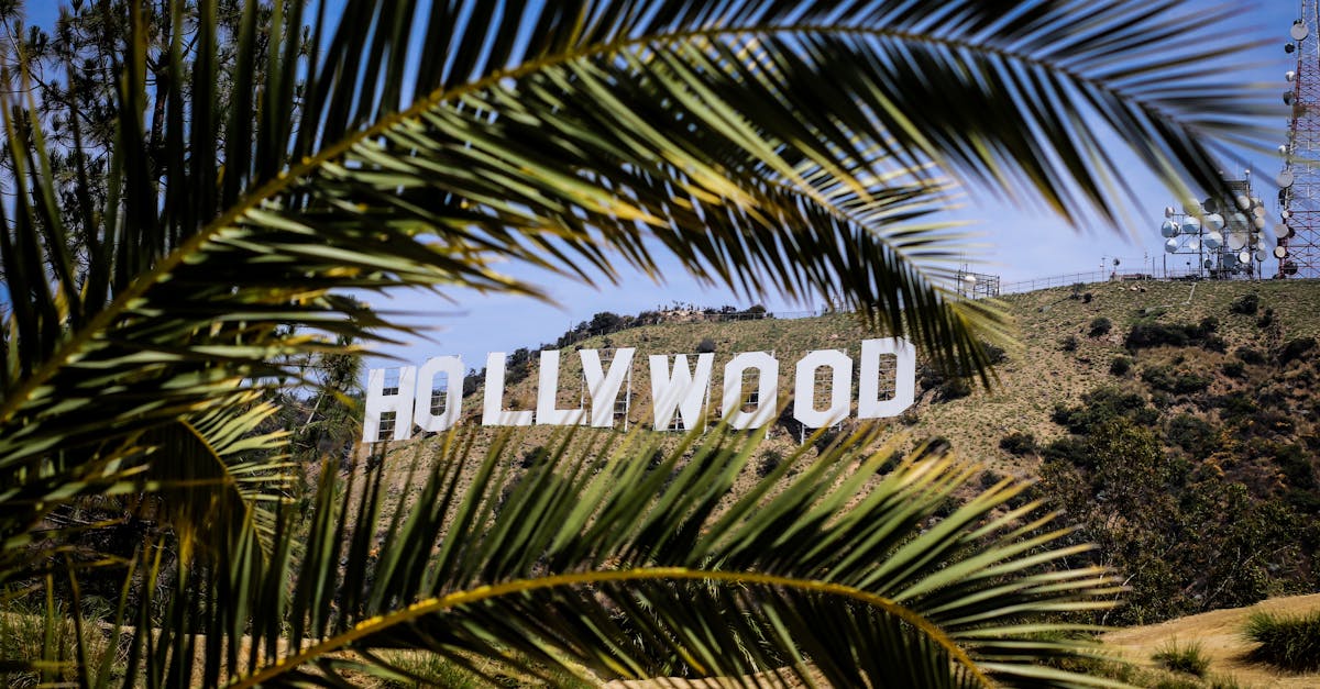Top Things to Do in Santa Monica, California
