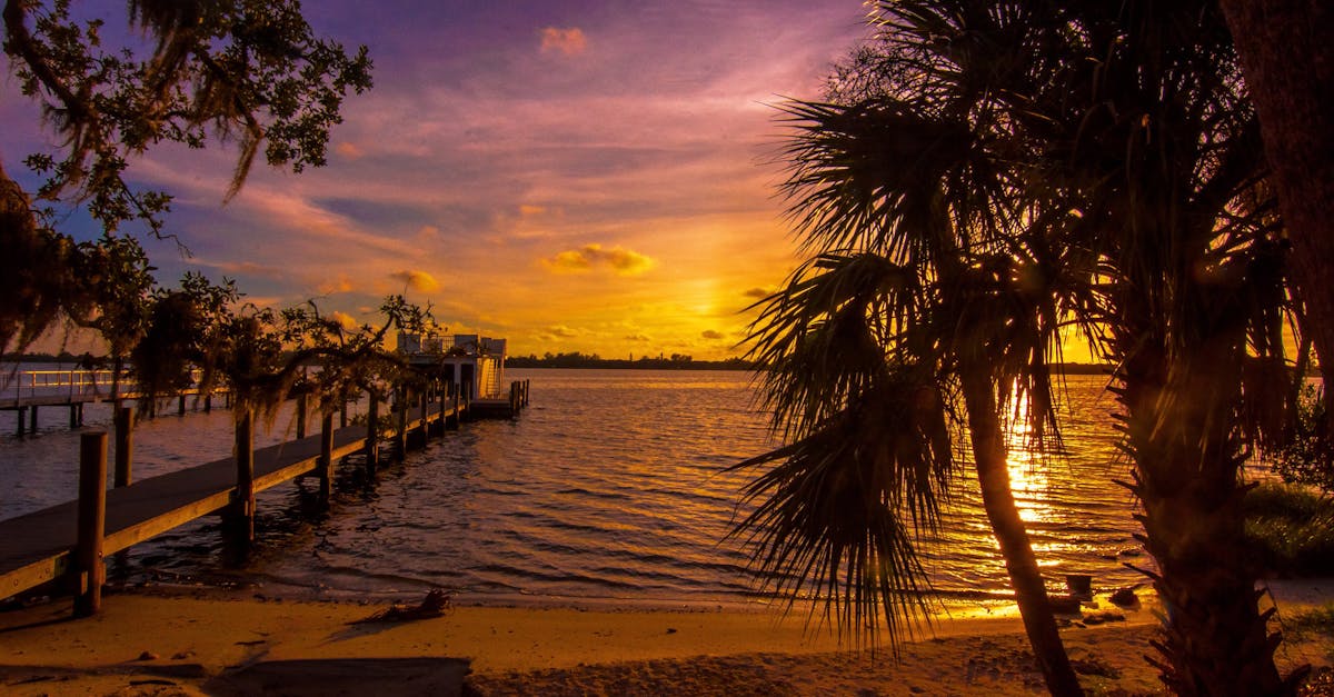 Your Complete Travel Guide to Sarasota, Florida
