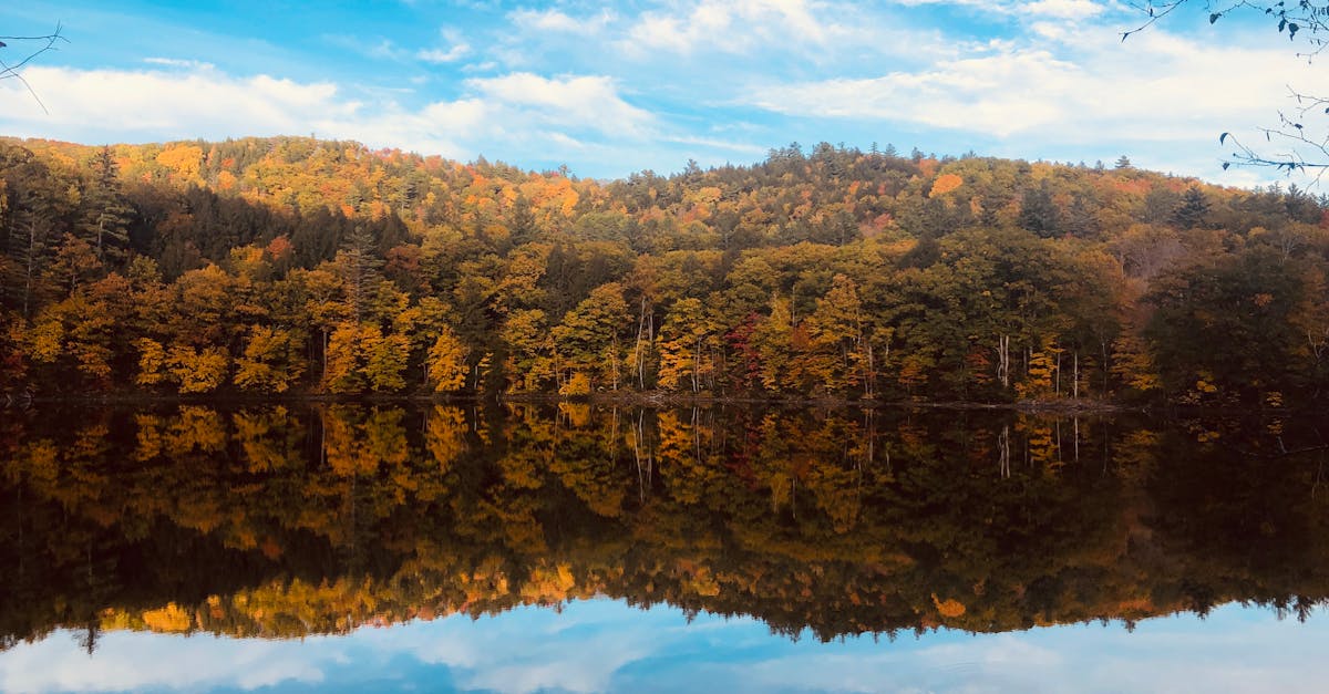 Your Complete Travel Guide to Shelburne, Vermont