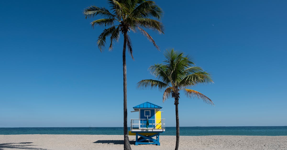 Your Complete Travel Guide to South Beach, Florida