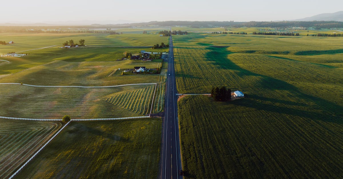 Your Complete Travel Guide to Spokane, Washington