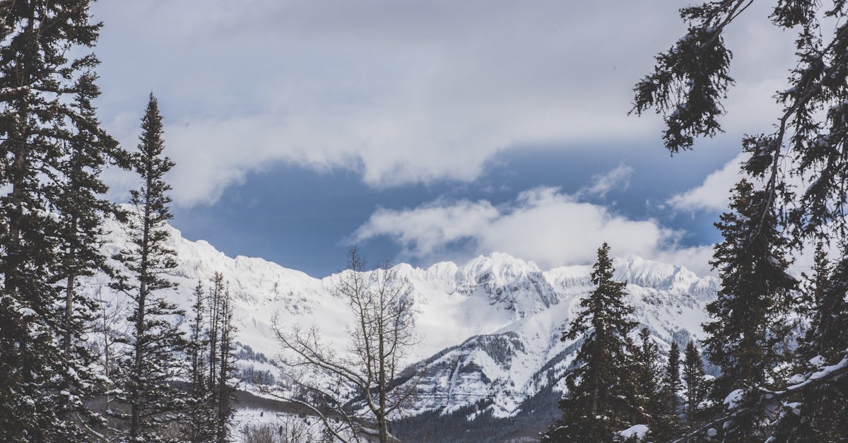 Your Complete Travel Guide to Telluride, Colorado