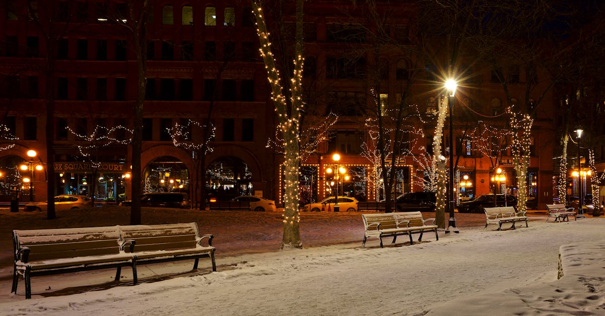 Your Complete Travel Guide to Traverse City, Minnesota