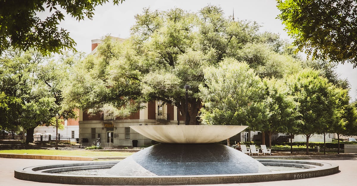 Your Complete Travel Guide to Waco, Texas