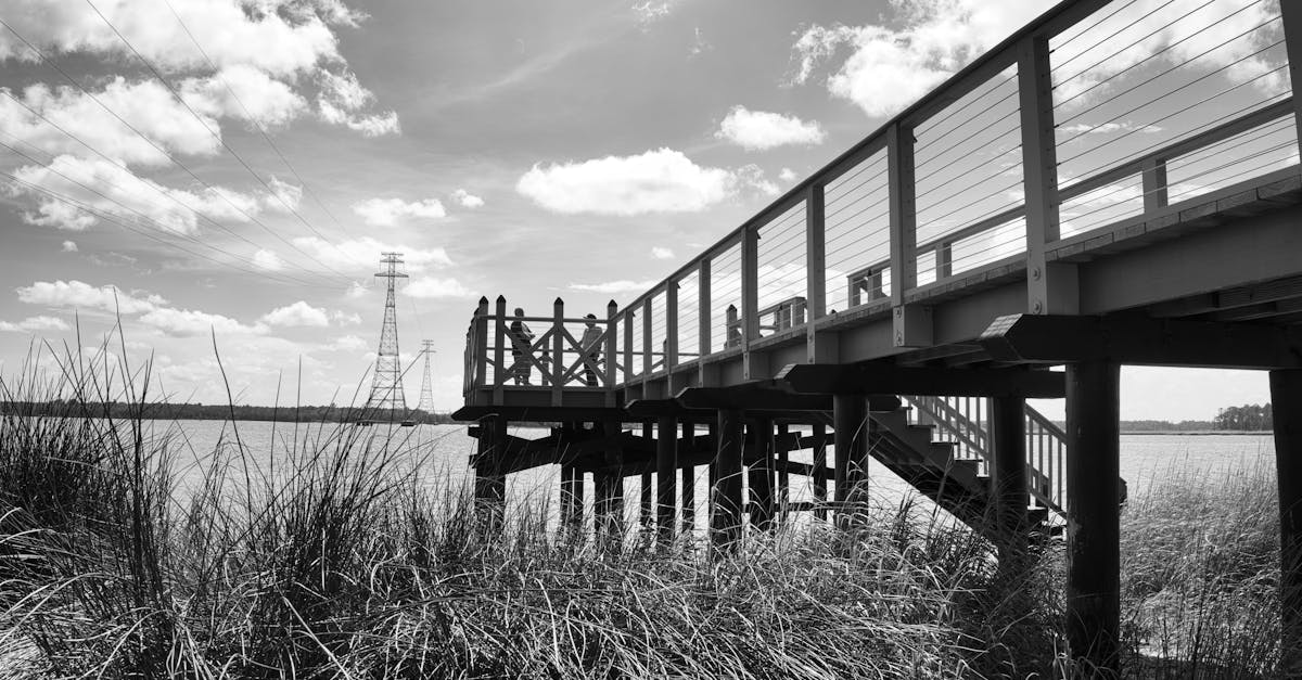 Your Complete Travel Guide to Wilmington, North Carolina