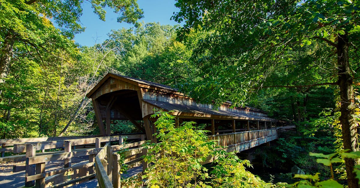 Your Complete Travel Guide to Youngstown, Ohio