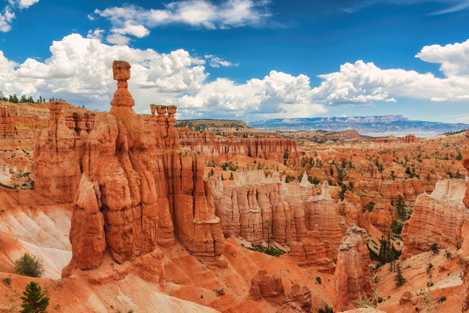 The Mighty 5 National Parks: A Comprehensive Guide to Utah's Natural 